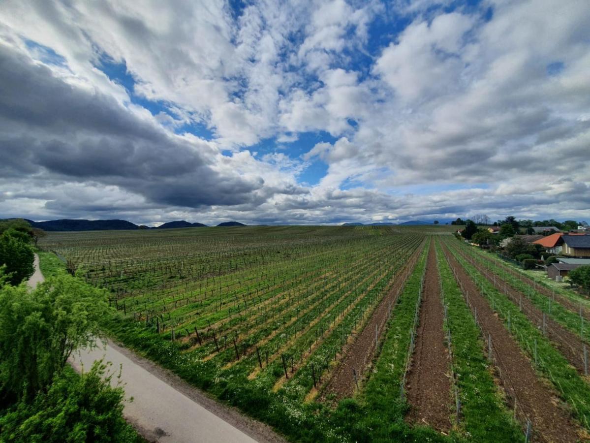 Weinseelig14 Landau in der Pfalz Ngoại thất bức ảnh